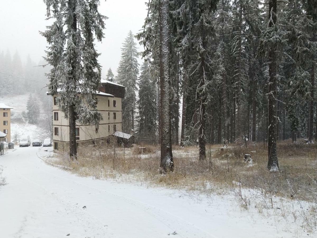 Evrika Forest Pamporovo Bagian luar foto